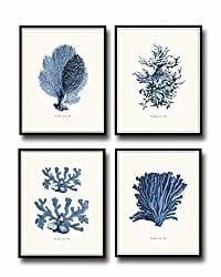 Coral Art Prints